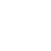 logo Y4CN-Blanc trans